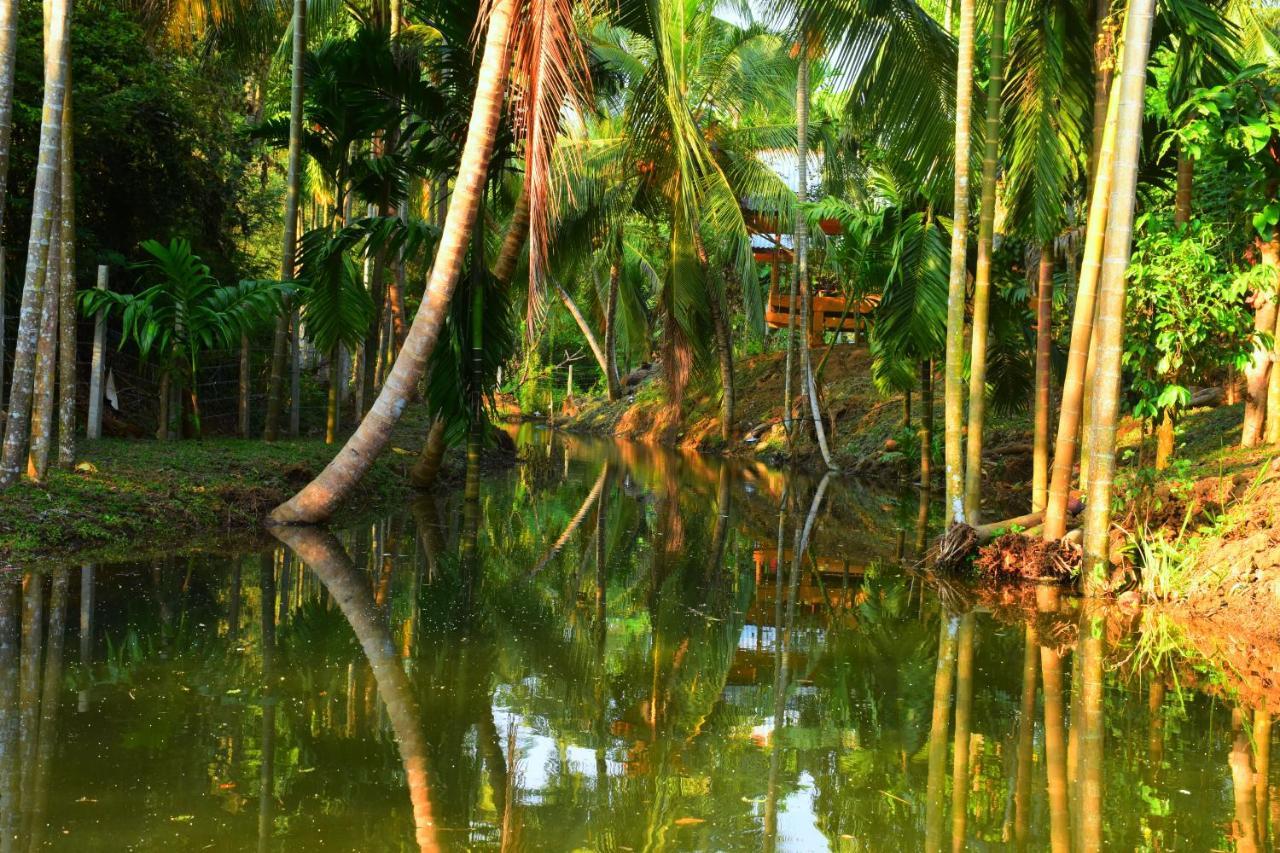 Wild Lake Side Udawalawe Eksteriør bilde